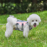 Reflective Cooling Dog Harness for Summer Walks in Hot Weather