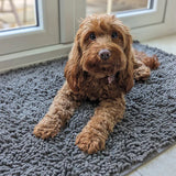 Absorbent Dog Door Entrance Mat – Mud & Dirt Trapping Paw Mat