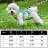 Reflective Cooling Dog Harness for Summer Walks in Hot Weather