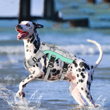 Reflective Cooling Dog Harness for Summer Walks in Hot Weather