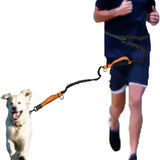 Hands-Free Elastic Bungee Dog Leash – Reflective Running & Walking Leash