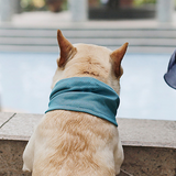 Reusable Cooling Dog Bandana for Walks and Outdoor Use in Summer