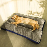 Orthopedic Dog Bed with Removable Washable Cover – Joint Support