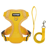 Reflective Breathable Mesh Dog Harness & Leash Set for Small Dogs