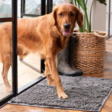 Absorbent Dog Door Entrance Mat – Mud & Dirt Trapping Paw Mat