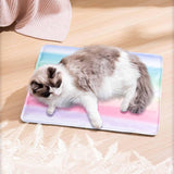 Rainbow Gel Pet Cooling Mat for Dogs and Cats to Stay Cool in Summer Heat