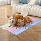 Rainbow Gel Pet Cooling Mat for Dogs and Cats to Stay Cool in Summer Heat