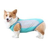 Dog Cooling Vest, Reflective Quick-Dry Summer Vest for Dogs