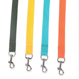 Reflective Breathable Mesh Dog Harness & Leash Set for Small Dogs