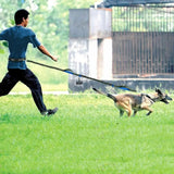 Hands-Free Elastic Bungee Dog Leash – Reflective Running & Walking Leash