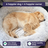Orthopedic Memory Foam Dog Cuddle Bed – Round Donut Design with Raised Edges