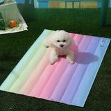 Rainbow Gel Pet Cooling Mat for Dogs and Cats to Stay Cool in Summer Heat