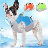Dog Cooling Vest for Summer – Reflective, Lightweight & Breathable