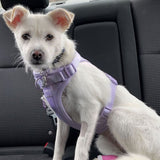 Secure-Fit Dog Harness – 3 Metal Attachment Points, Breathable & Padded