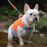 Dog Cooling Vest for Summer – Reflective, Lightweight & Breathable