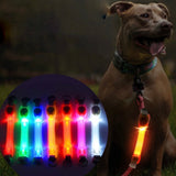 LED Dog Safety Collar – Waterproof Flashing Light Strip