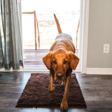 Absorbent Dog Door Entrance Mat – Mud & Dirt Trapping Paw Mat