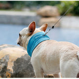 Reusable Cooling Dog Bandana for Walks and Outdoor Use in Summer