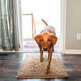 Absorbent Dog Door Entrance Mat – Mud & Dirt Trapping Paw Mat