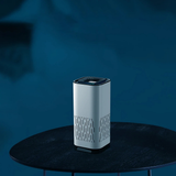 HEPA Pet Air Purifier – Quiet Pet Odour & Dander Reducer for Home