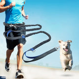 Hands-Free Elastic Bungee Dog Leash – Reflective Running & Walking Leash