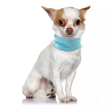Reusable Cooling Dog Bandana for Walks and Outdoor Use in Summer