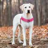 Anti-Pull Dog Harness – Durable Nylon with Reflective Safety Strips