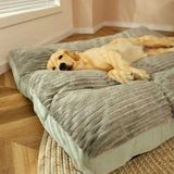 Orthopedic Dog Bed with Removable Washable Cover – Joint Support