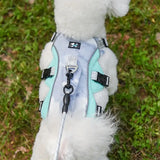 Reflective Cooling Dog Harness for Summer Walks in Hot Weather