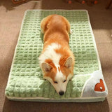 Orthopedic Dog Sleeping Pillow – Super Soft with Removable Washable Cover