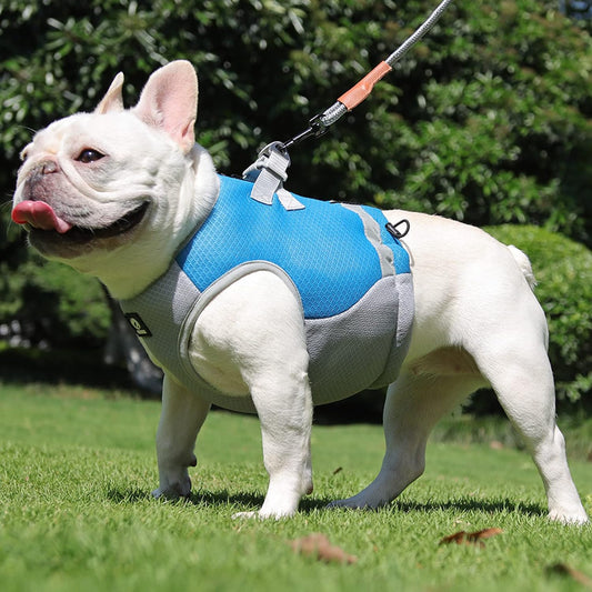 Dog Cooling Vest for Summer – Reflective, Lightweight & Breathable