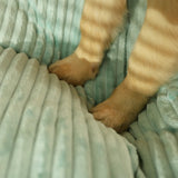 Orthopedic Dog Bed with Removable Washable Cover – Joint Support