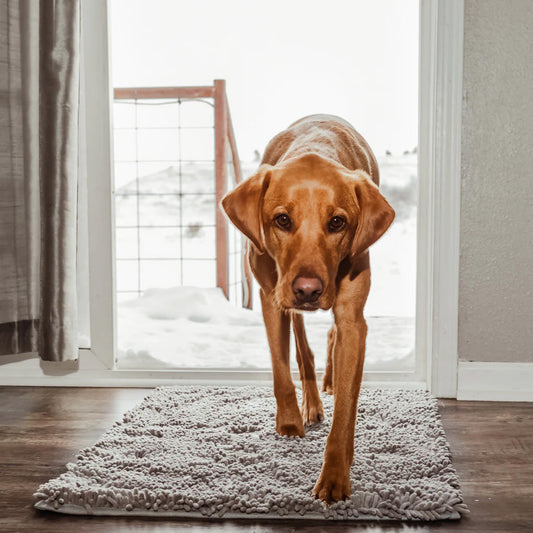 Absorbent Dog Door Entrance Mat – Mud & Dirt Trapping Paw Mat