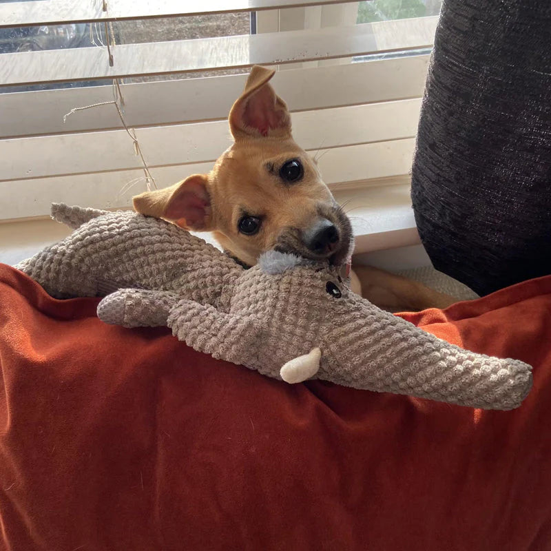 Pepper & Otis