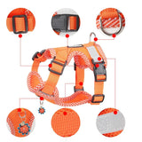 Reflective Breathable Mesh Dog Harness & Leash Set for Small Dogs