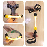 LED Dog Safety Collar – Waterproof Flashing Light Strip