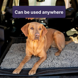 Absorbent Dog Door Entrance Mat – Mud & Dirt Trapping Paw Mat