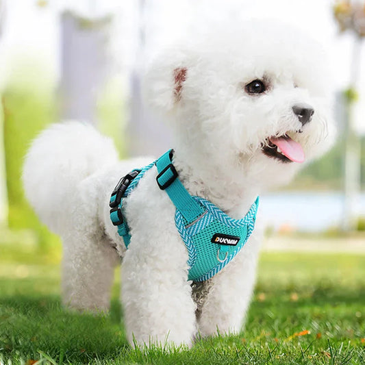 Reflective Breathable Mesh Dog Harness & Leash Set for Small Dogs