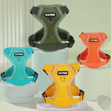 Reflective Breathable Mesh Dog Harness & Leash Set for Small Dogs