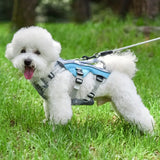 Reflective Cooling Dog Harness for Summer Walks in Hot Weather