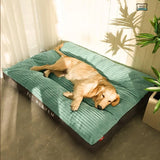 Orthopedic Dog Bed with Removable Washable Cover – Joint Support