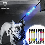 LED Dog Safety Collar – Waterproof Flashing Light Strip