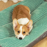 Orthopedic Dog Bed with Removable Washable Cover – Joint Support